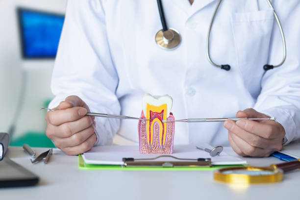 Best Emergency Dental Care for Broken or Chipped Teeth in Anderson, CA